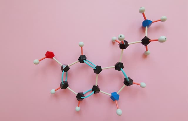 סרוטונין (Serotonin) – הורמון האושר