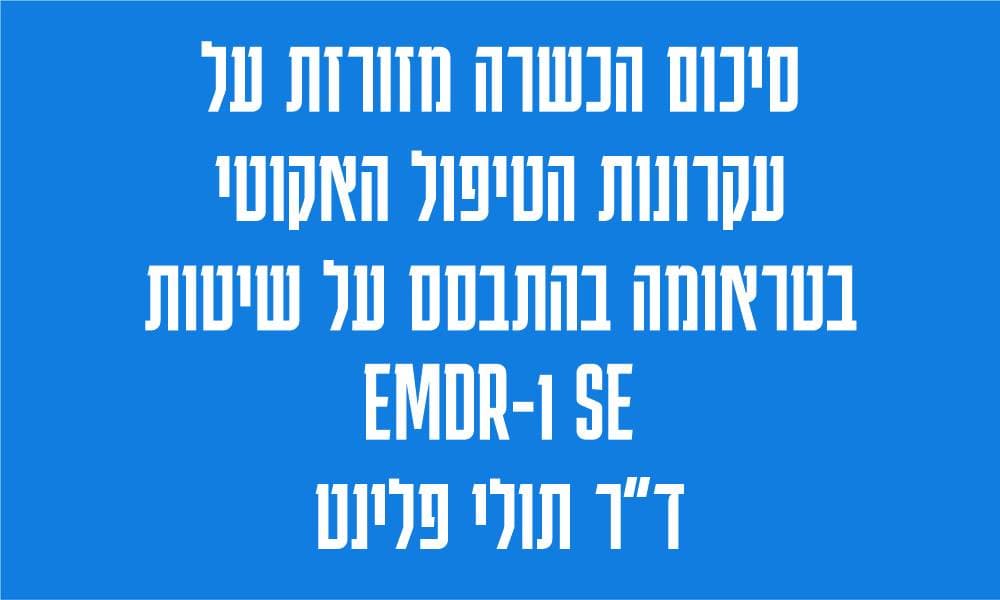 סיכום הכשרה מזורזת על עקרונות הטיפול האקוטי בטראומה בהתבסס על שיטות EMDR ו-SE