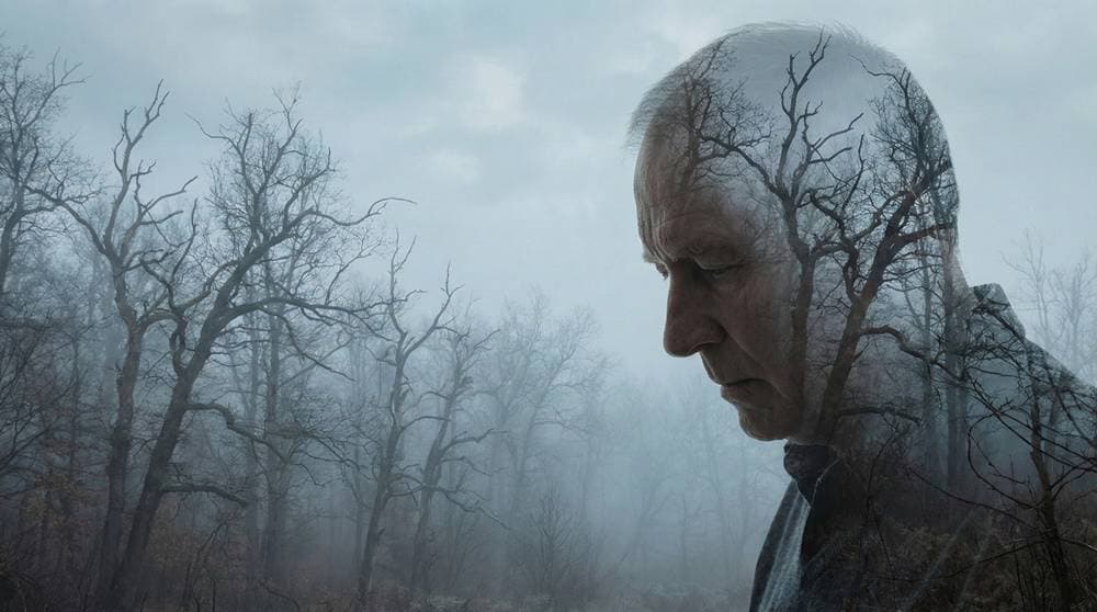 דיכאון ודמנציה