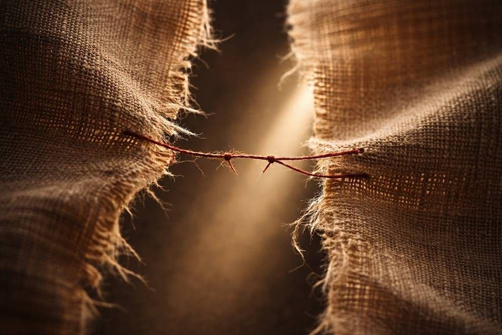 התיקון הבלתי אפשרי: מיזוג וכיסים אוטיסטיים בטיפול